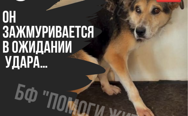 Thumbnail для -  «ОН ЗАЖМУРИВАЕТСЯ В ОЖИДАНИИ УДАРА…»🆘