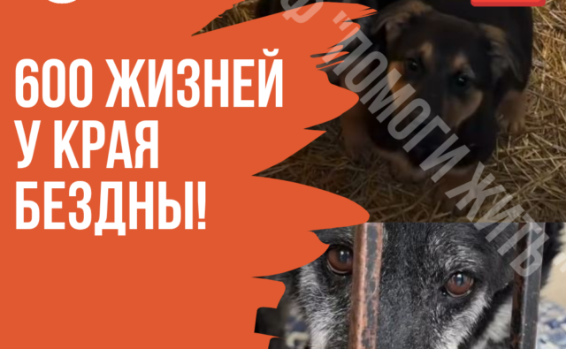 Thumbnail для -  600 ЖИЗНЕЙ У КРАЯ БЕЗДНЫ. МЫ ИДЕМ КО ДНУ!🆘🆘